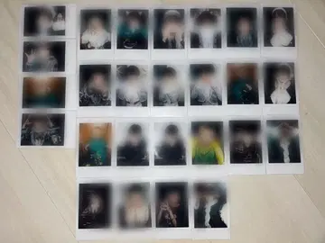 러브시크 료 핑 폴라로이드