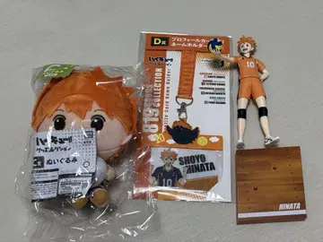 하이큐 히나타 쇼요 제일복권 세트