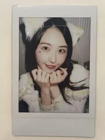 시마무라 우타 폴라로이드 큐루시테