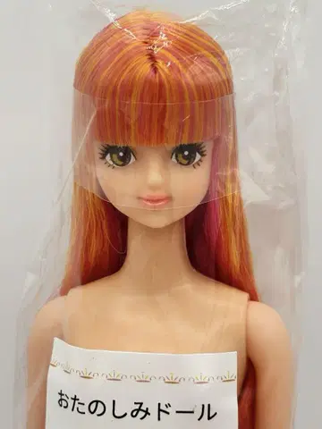 사야카 오타노시미 인형 오렌지 계열 리카짱 캐슬 제니 프렌드