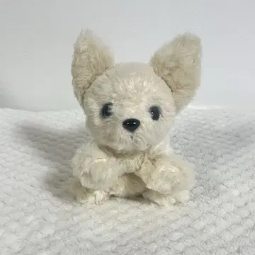 몬스이유 강아지 치와와 봉제 인형