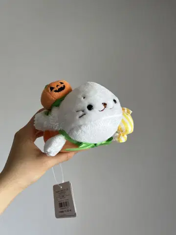 시로땅 할로윈 봉제 인형 택 포함