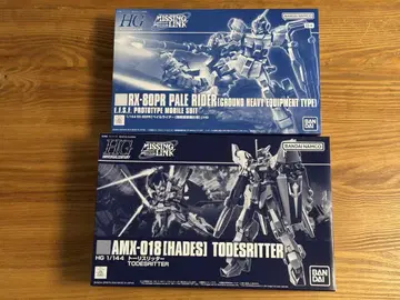 HG 1/144 페일 라이더 육전중장 사양 & 토리스 리터 2개 세트