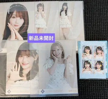 이코럽 생사진 미개봉 8주년 투어 보석 의상 친필 오타니 노구치 4cut