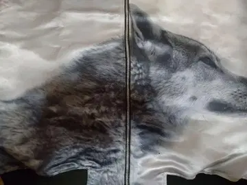 Deity's watchdog 자켓 사나토리움