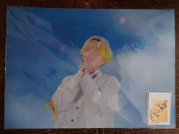 실사 클리어 포스터 스티커 세트 루토