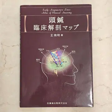 두침 임상 해부 맵