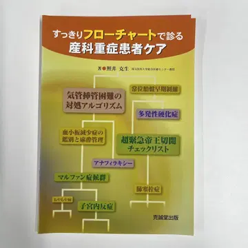 산뜻한 플로우차트로 보는 산과 중증 환자 케어