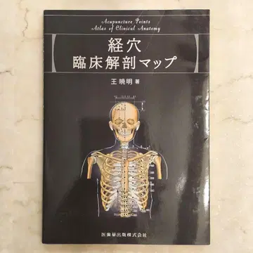 경혈 임상 해부 맵 왕샤오밍 침구 학생 혈점