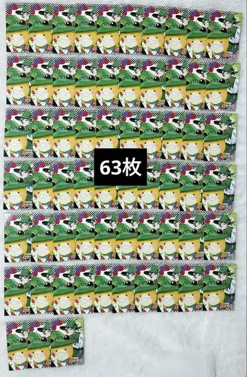 컬러풀 피치 카라피치 시바 63장 묶음 판매