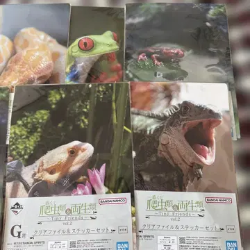 제일복권 파충류&양서류 클리어 파일 세트