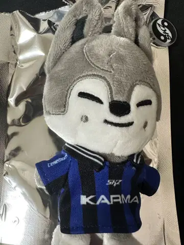straykids KARMA 방찬 울프 키링