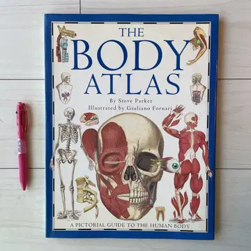 그림책 BODY ARLAS 인체 해부도 영문