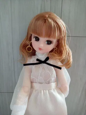 커스텀 리카짱 미디엄 울프 헤드만 22cm 인형