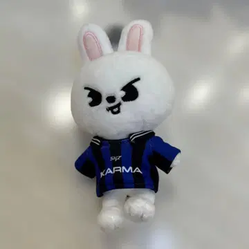 Stray Kids KARMA 리빗