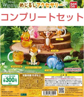 Winnie the Pooh 메지루시 액세서리 컴플리트 세트 푸우