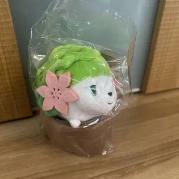포켓몬 봉제 인형 Pokemon Grassy Gardening 쉐이미