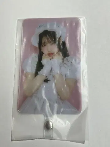 사쿠라바 하루카 폰탭