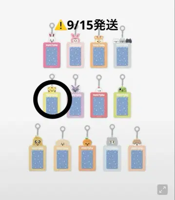 MINITEEN 탐탐 트레이딩 카드 케이스 TAMTAM 일본 미발매