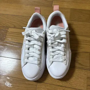puma 여성 신발 24cm