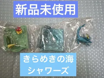 포켓몬 반짝임의 바다 샤미드