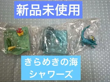 포켓몬 반짝임의 바다 샤미드