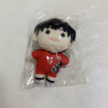 배구 남자 일본 대표 오쓰카 다쓰노리 봉제 인형 키링