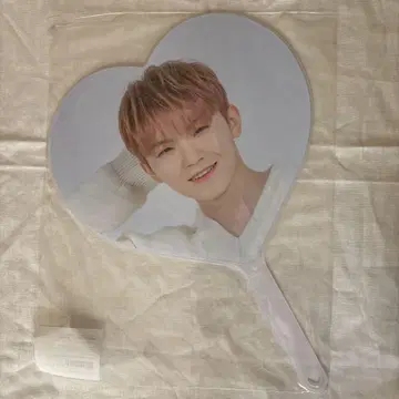 SEVENTEEN 부채 WOOZI