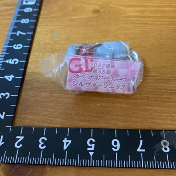 아이돌 호스 미니 컬렉션 실버 소닉