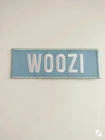 WOOZI 스카이블루 핀 배지