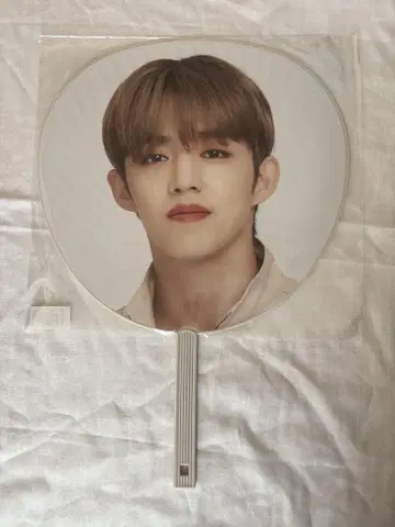 SEVENTEEN S.Coups 부채 Ode to You
