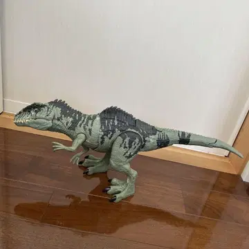 기가노토사우루스 약 30cm