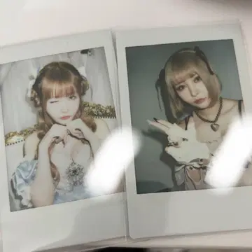 센리츠 카나노 폴라로이드 란체키