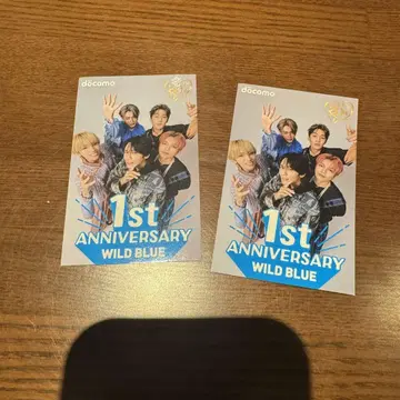 WILD BLUE 스티커 도쿄 걸즈 컬렉션 TGC docomo