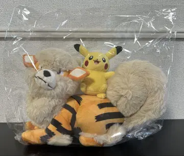 오키나와 한정판 피카츄 윈디 봉제 인형