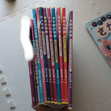 미로 그림책 세트 9권 카가와 모토타로 덤 2권