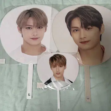 seventeen 준 부채 세트