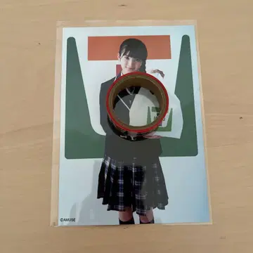 토다카 미코 생사진 사쿠라 학원