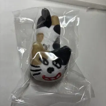 키요고양이 C상 시크릿