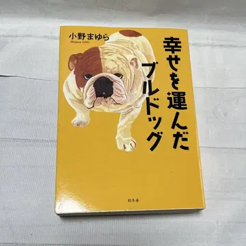 행복을 가져다준 불독