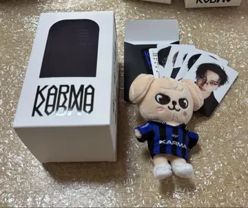 straykids skzoo KARMA soundwave 특전 포함