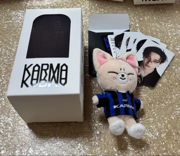 straykids skzoo KARMA soundwave 특전 포함