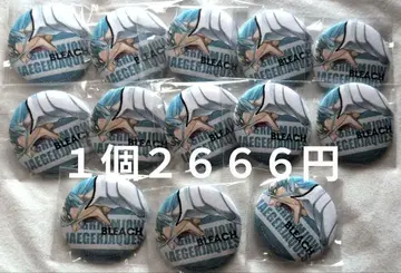 BLEACH 블리치 화지풍 캔뱃지 나카가이 그림죠 세트