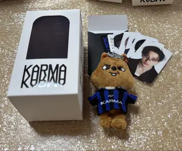 straykids skzoo KARMA soundwave 특전 포함