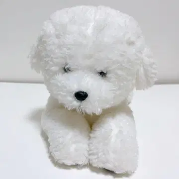 산레몬 무릎 강아지 봉제 인형 비숑 프리제 38cm