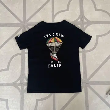 THE ENDLESS SUMMER TES BUHI TEE shirt