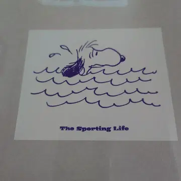 스누피 뮤지엄 한정판 포스카 스티커 스포츠는 인생의 친구 Box