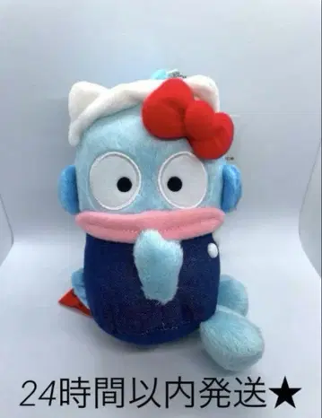 새상품 산리오 한교동 키티 50주년 HELLO 모두! 마스코트