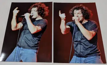1980년 AC/DC 텍사스 댈러스 공연 라이브 사진 15장 세트