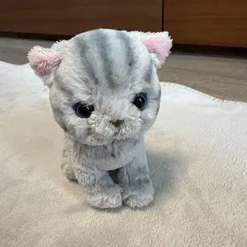 선레몬 고양이 봉제 인형